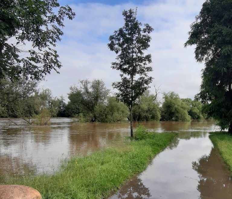 1 Monat nach der Flut – Diskussionspapier zu Schlussfolgerungen aus der Hochwasser-Katastrophe Juli 2021