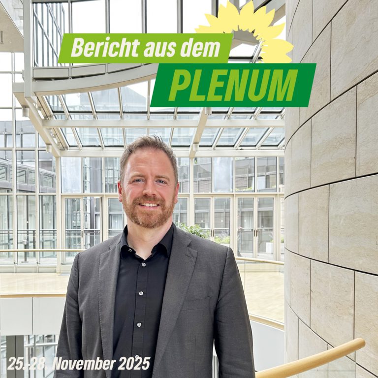 Bericht aus dem Plenum 25.11.-28.11.2025 