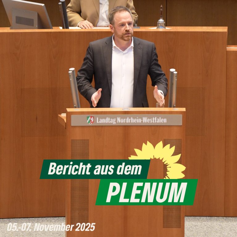Plenumsbericht 05.-07.11.2025 