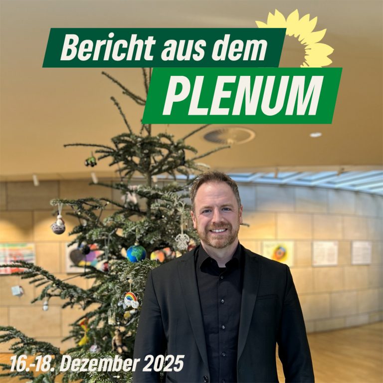 Bericht aus dem Plenum 16.12.-18.12.2025 