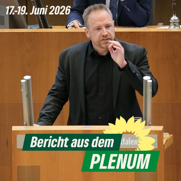 Plenumsbericht 17.-19.06.2026